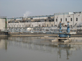 中心傳動(dòng)刮吸泥機(jī)